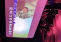 杭州富阳区场口镇附近酒吧招聘酒水促销员,跟领队还是直招