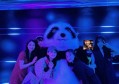 义乌展览设计文案招聘（义乌展会设计创意文案招募）
