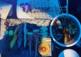 杭州高端夜场ktv招聘商务迎宾,跟领队还是直招
