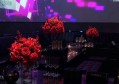 游泳健身会籍招聘文案（招募游泳健身会员：携手共创活力新篇章）