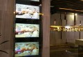 农院工作招聘条件有哪些（农院招聘职位岗位要求概览）
