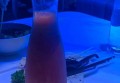 临近春节兼职招聘文案（春节前夕兼职岗位招募文案）